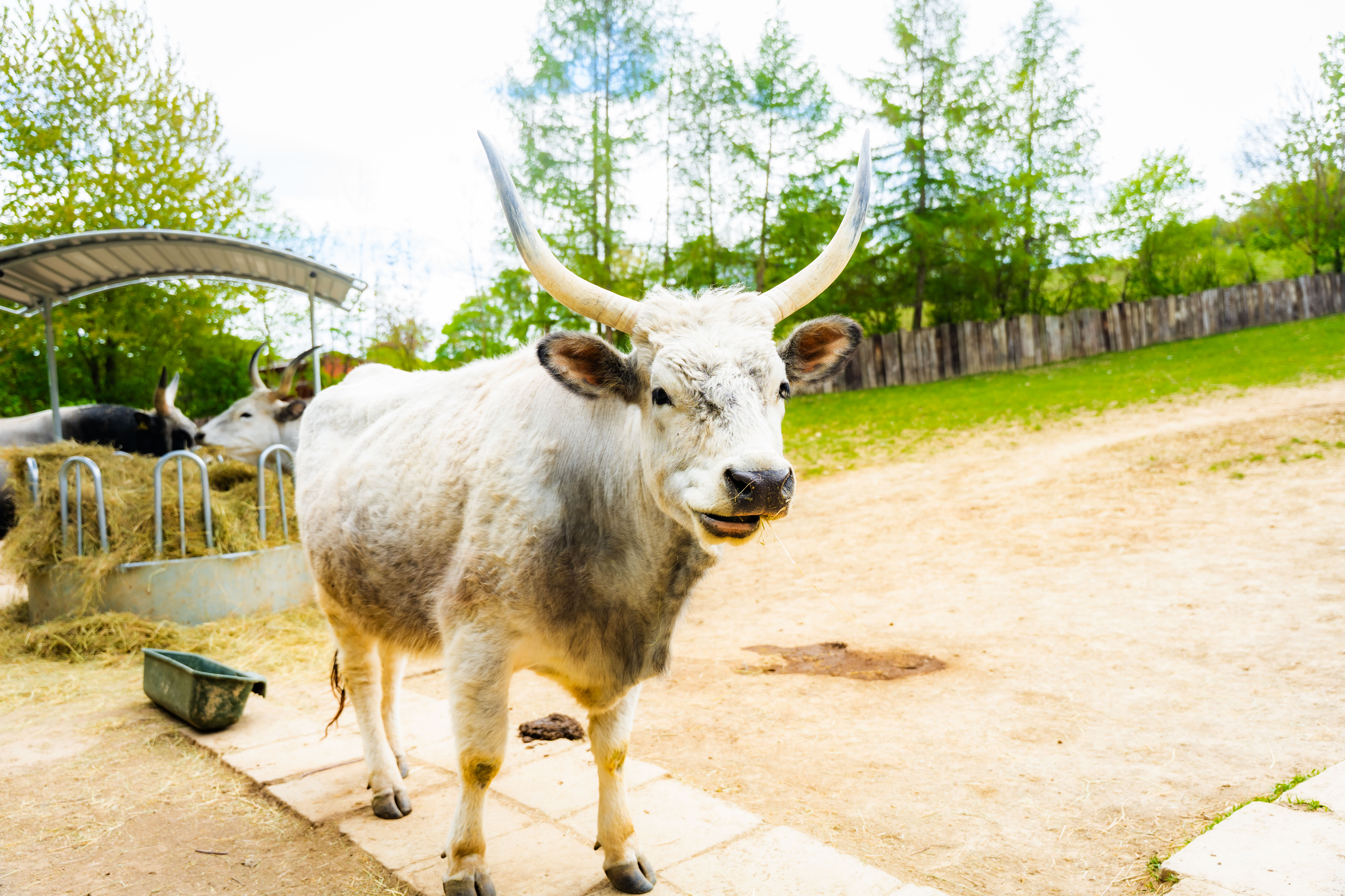 Slavnostne odomykanie vrany ZOO Kosice-1-65
